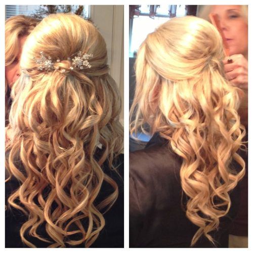 Bumped Twist Half Updo Bridal Hairstyles (Photo 9 of 20)