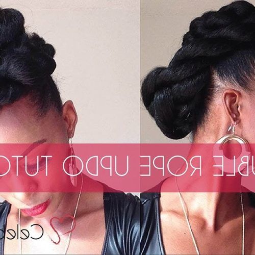 Twin Braid Updo Hairstyles (Photo 8 of 15)