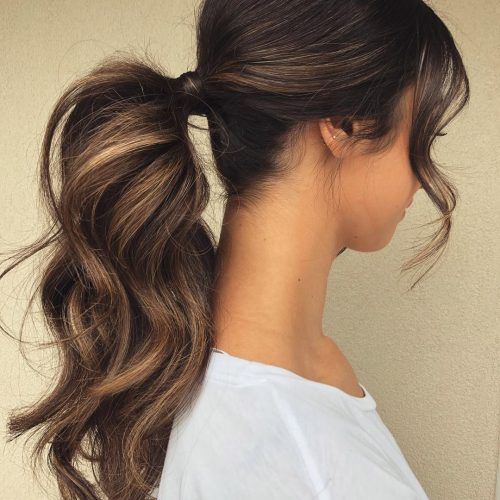 Chic Ponytail Hairstyles Ponytail Hairstyles (Photo 2 of 20)