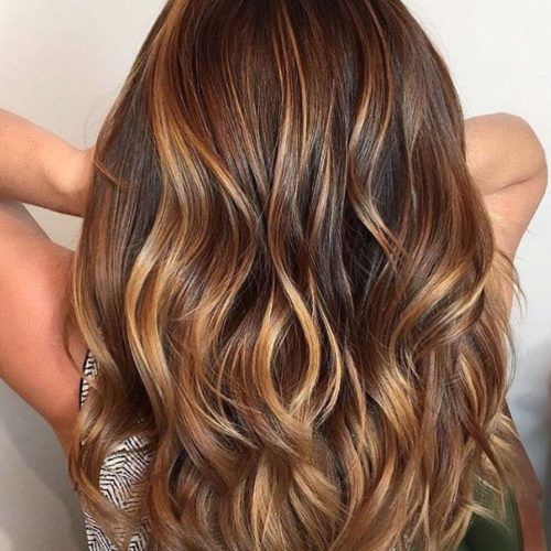 Warm-Toned Brown Hairstyles With Caramel Balayage (Photo 13 of 20)