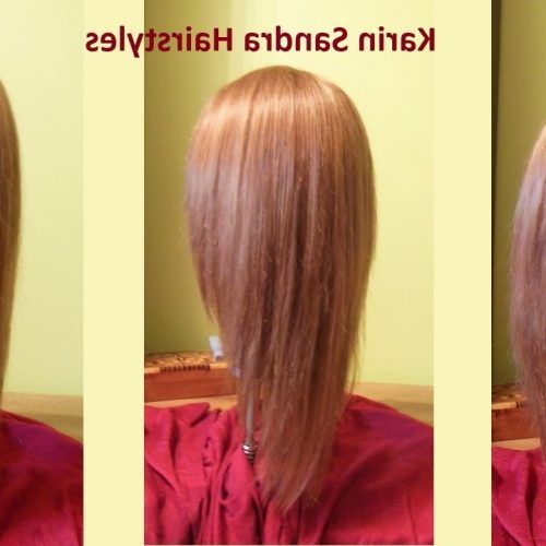 Reddish Brown Hairstyles With Long V-Cut Layers (Photo 13 of 20)