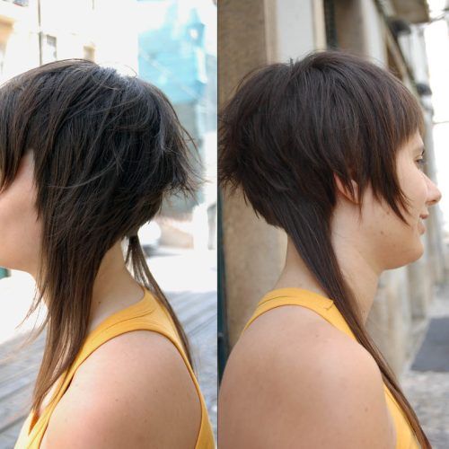 Horizontally-Oriented Bangs Bob Haircuts (Photo 9 of 20)