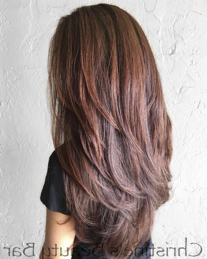 20 Collection of Reddish Brown Hairstyles with Long V-cut Layers