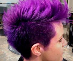 20 Photos Faux-hawk Fade Haircuts with Purple Highlights