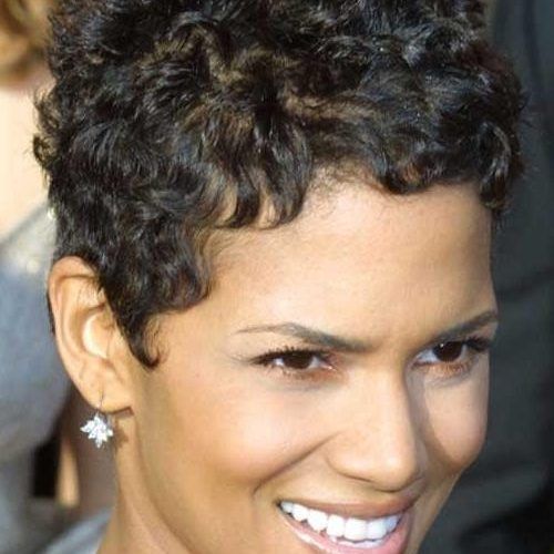 Short Hairstyles For Very Curly Hair (Photo 6 of 20)