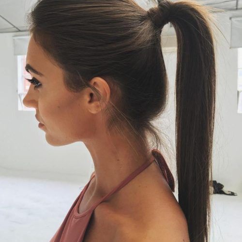 Ponytail Hairstyles For Fine Hair (Photo 7 of 20)