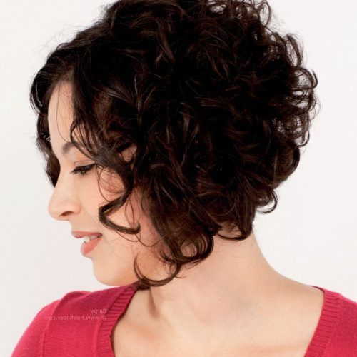 Curly Layered Bob Hairstyles (Photo 16 of 20)