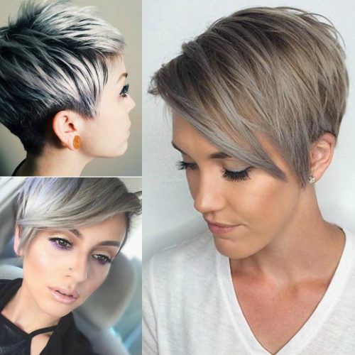 Sassy Silver Pixie Blonde Hairstyles (Photo 13 of 20)
