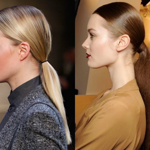 Low Ponytail Hairstyles (Photo 7 of 20)