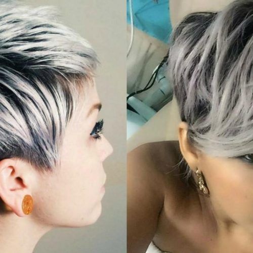 Grey Pixie Haircuts (Photo 19 of 20)