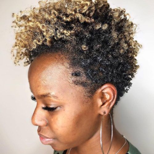 Faux Mohawk Hairstyles With Springy Curls (Photo 12 of 20)