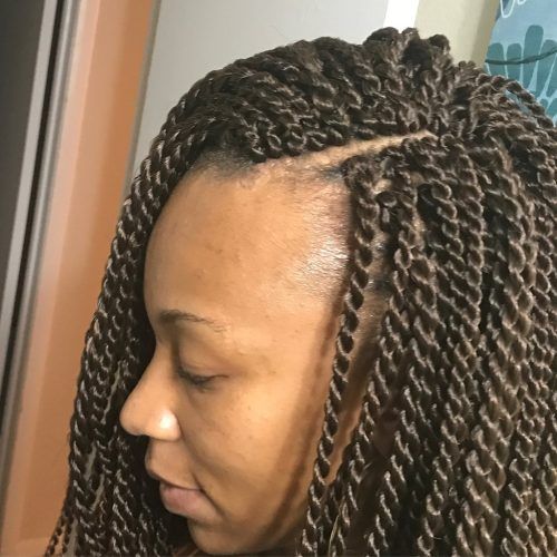 Braided Hairstyles With Crochet (Photo 4 of 15)