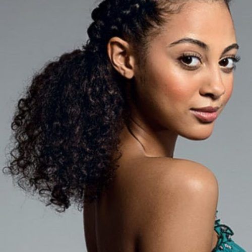 Highlighted Afro Curls Ponytail Hairstyles (Photo 6 of 20)
