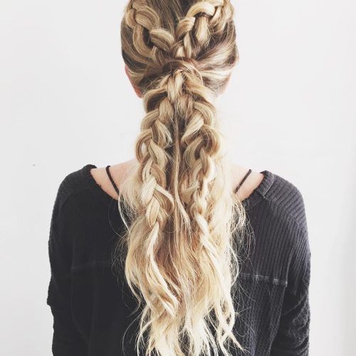 Blonde Pony With Double Braids (Photo 2 of 15)