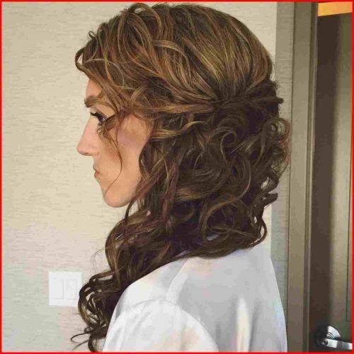 Ponytail Cascade Hairstyles (Photo 11 of 20)