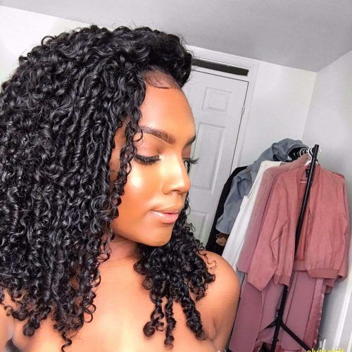 Naturally Curly Braided Hairstyles (Photo 20 of 20)