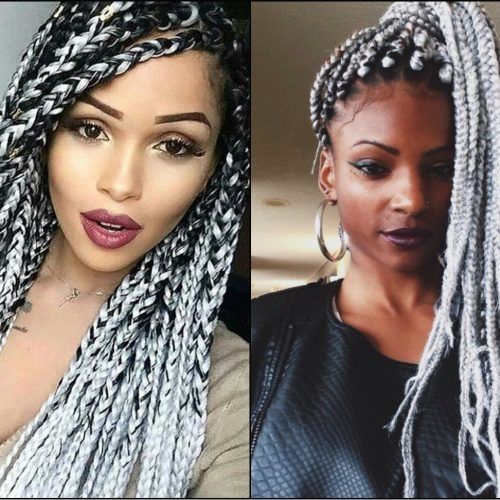 Cornrows Hairstyles With White Color (Photo 7 of 15)