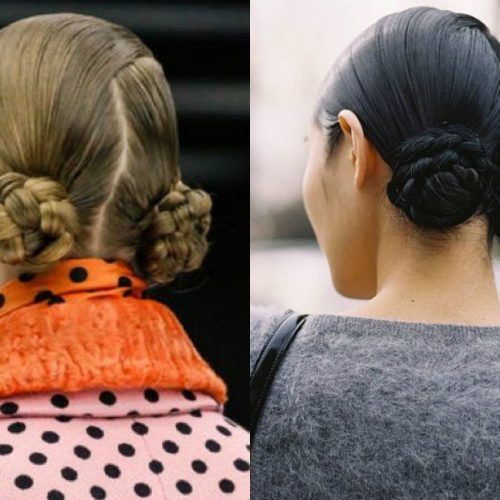 Twin Braid Updo Hairstyles (Photo 11 of 15)