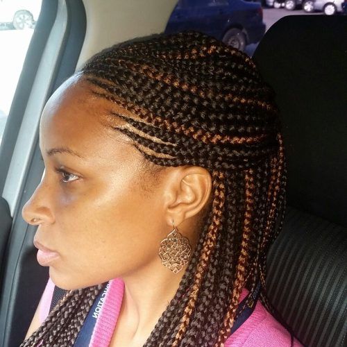 Twists And Braid Hairstyles (Photo 11 of 20)