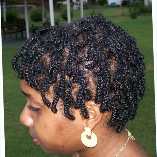 Naturally Curly Braided Hairstyles (Photo 14 of 20)