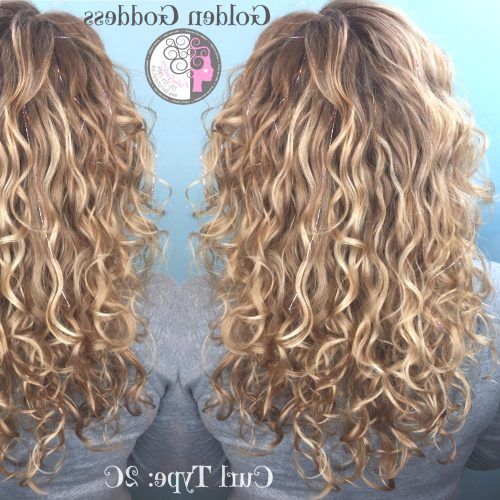 Curls And Blonde Highlights Hairstyles (Photo 11 of 20)