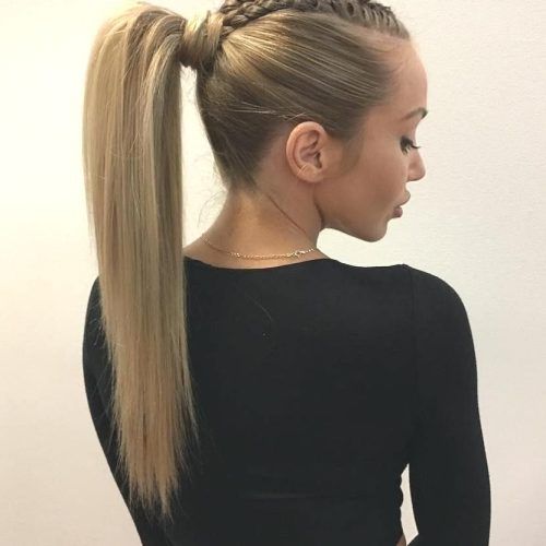 40 Different Styles To Make Braid Hairstyles For Women intended for Well known High Ponytail Braided Hairstyles (Photo 223 of 292)
