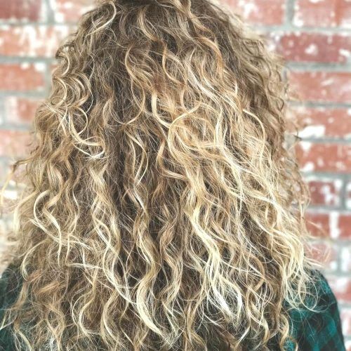 Curls And Blonde Highlights Hairstyles (Photo 7 of 20)