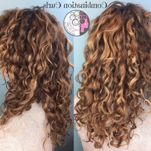 Curly Golden Brown Balayage Long Hairstyles (Photo 11 of 20)