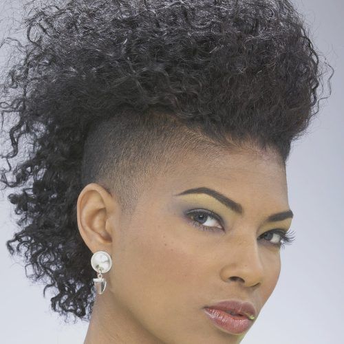 Fierce Mohawk Hairstyles With Curly Hair (Photo 16 of 20)
