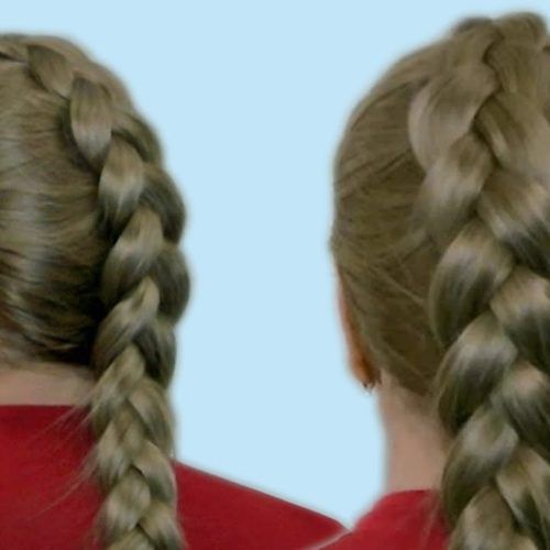 Reverse French Braid Ponytail Hairstyles (Photo 2 of 20)