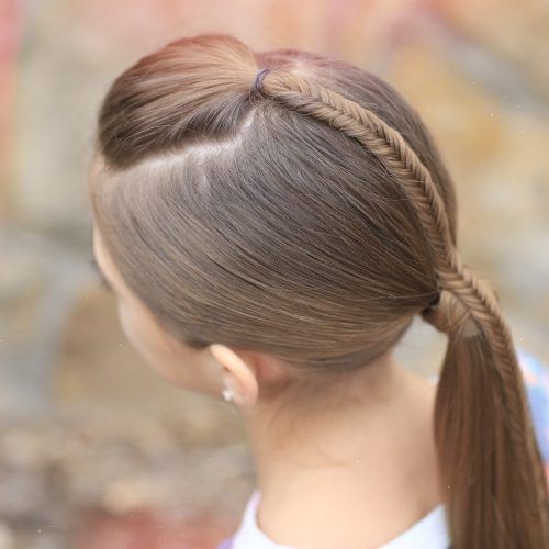 Pony Hairstyles With Accent Braids (Photo 7 of 20)