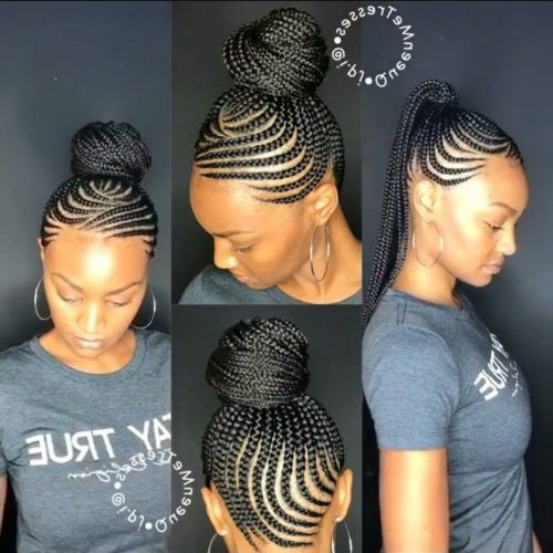 Curly Pony Hairstyles With A Braided Pompadour (Photo 11 of 20)