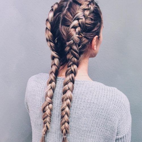 Two Classic Braids Hairstyles (Photo 7 of 15)