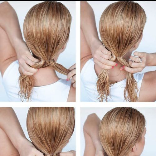 Wet Hair Updo Hairstyles (Photo 14 of 15)