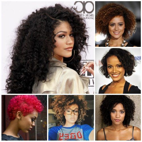 Highlighted Afro Curls Ponytail Hairstyles (Photo 11 of 20)