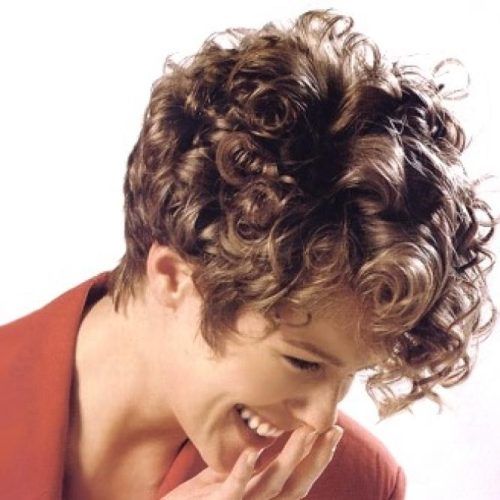 Short Haircuts For Very Curly Hair (Photo 9 of 20)