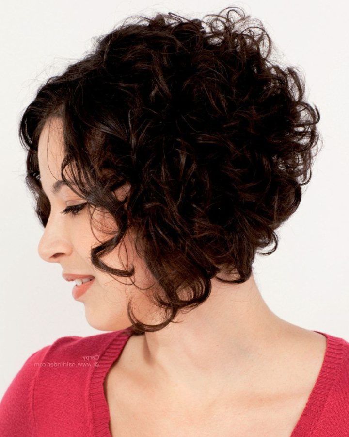 2024 Popular Stacked Curly Bob Hairstyles