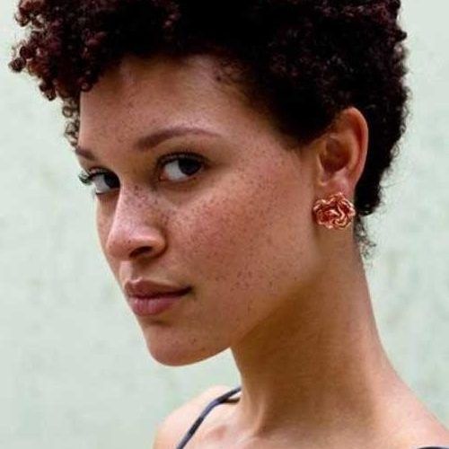 Short Hairstyles For Natural Black Hair (Photo 20 of 20)