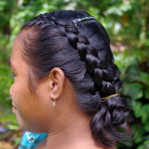 Double Dutch Braids Hairstyles (Photo 8 of 20)