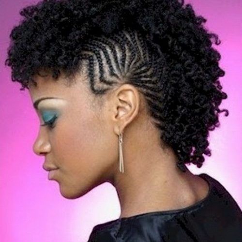 Natural Curls Mohawk Hairstyles (Photo 20 of 20)