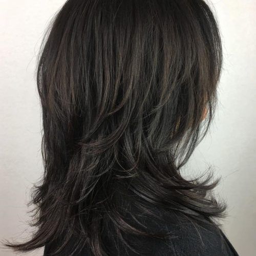 Modern Shaggy Asian Hairstyles (Photo 16 of 20)