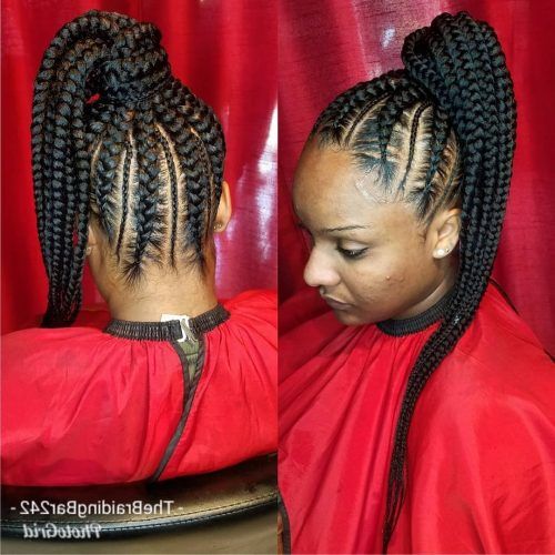 Two-Tone Braided Pony Hairstyles (Photo 15 of 15)