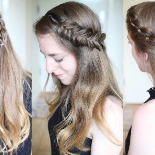 Braided Hairstyles With Hair Down (Photo 6 of 15)
