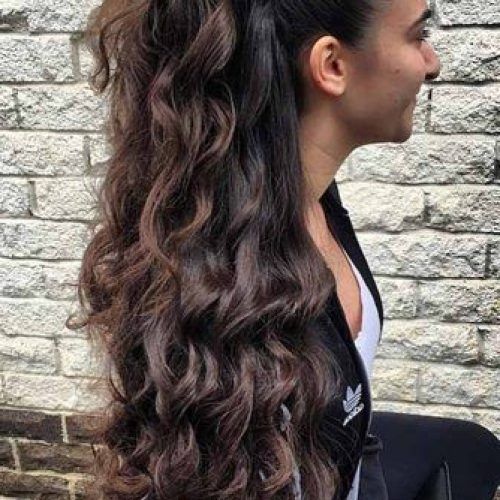 Chic Ponytail Updo For Long Curly Hair (Photo 2 of 15)