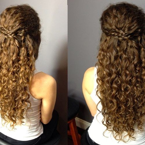 Natural Curly Hair Updo Hairstyles (Photo 1 of 15)