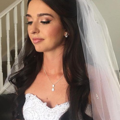 Wedding Hairstyles For Long Hair Down With Veil And Tiara (Photo 2 of 15)