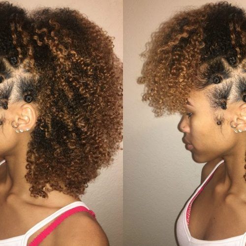 Mohawk Hairstyles With Braided Bantu Knots (Photo 20 of 20)