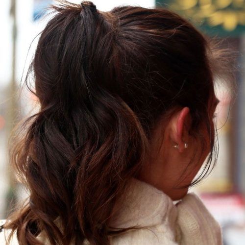 Long Brown Hairstyles With High Ponytail (Photo 3 of 20)
