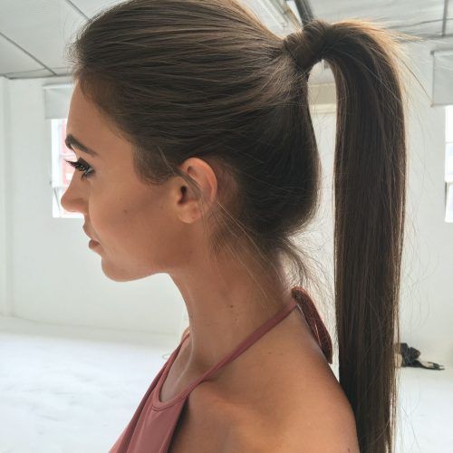 Fancy Sleek And Polished Pony Hairstyles (Photo 5 of 20)