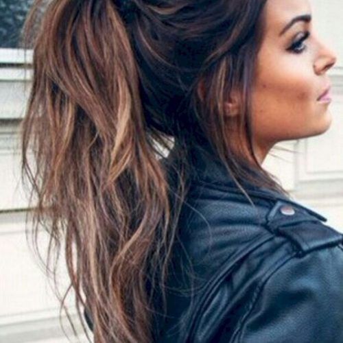Ponytail Hairstyles For Brunettes (Photo 13 of 20)